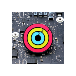ACTIVITY RINGS